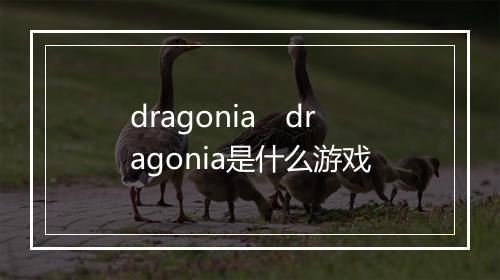 dragonia　dragonia是什么游戏