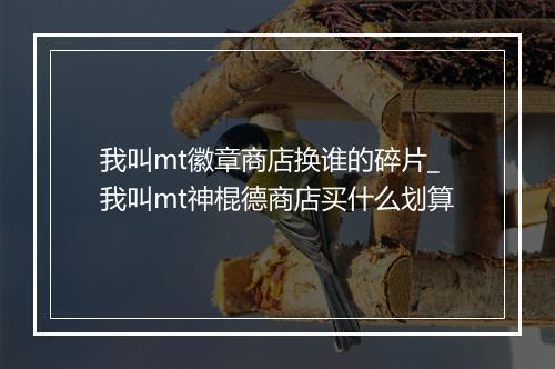 我叫mt徽章商店换谁的碎片_我叫mt神棍德商店买什么划算